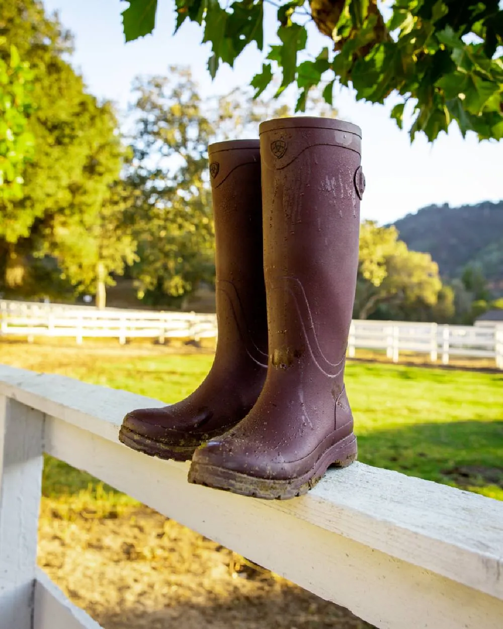 Ariat Womens Kelmarsh Wellington Boots