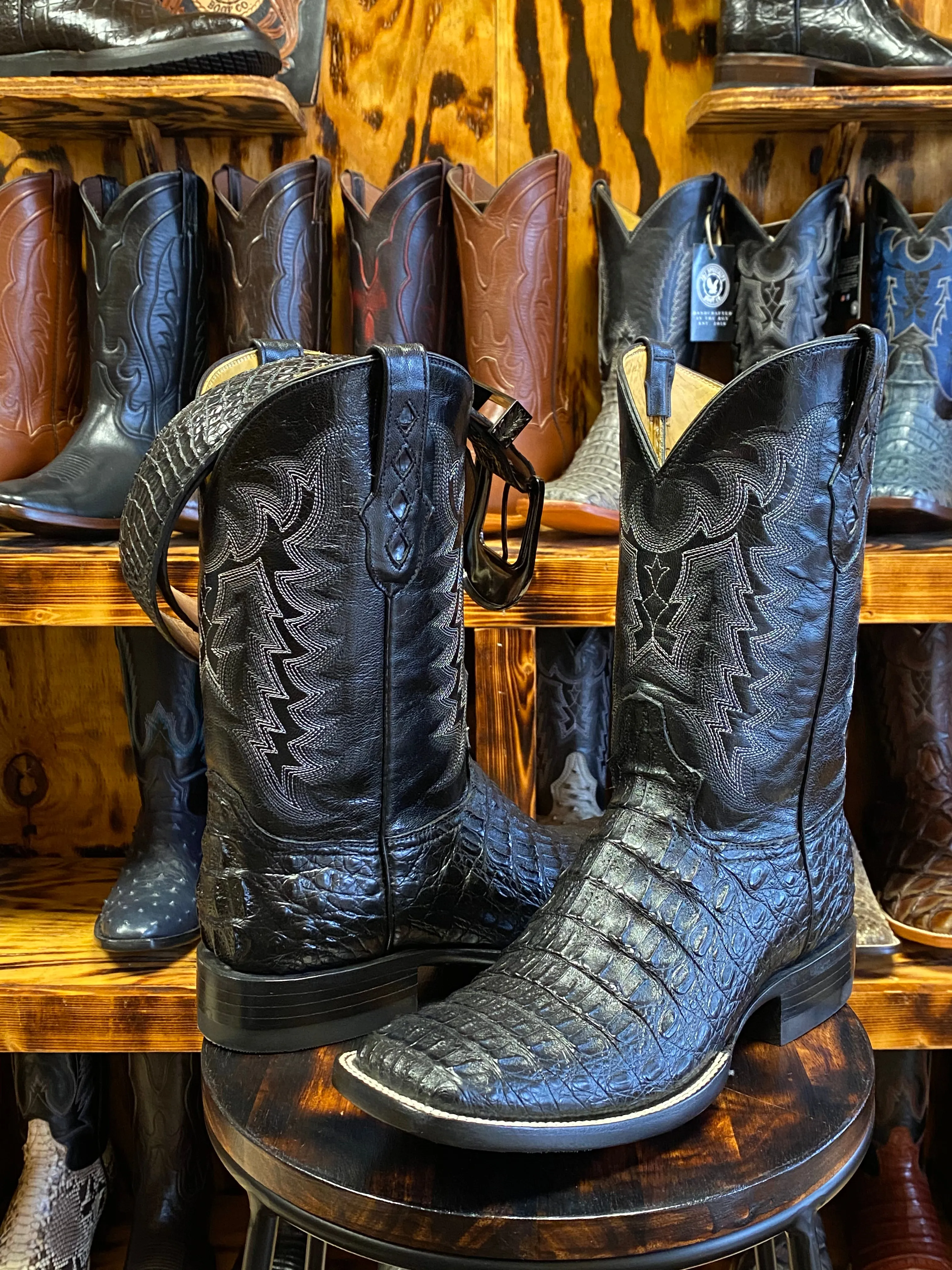 Black Hornback Caiman 9.5EE