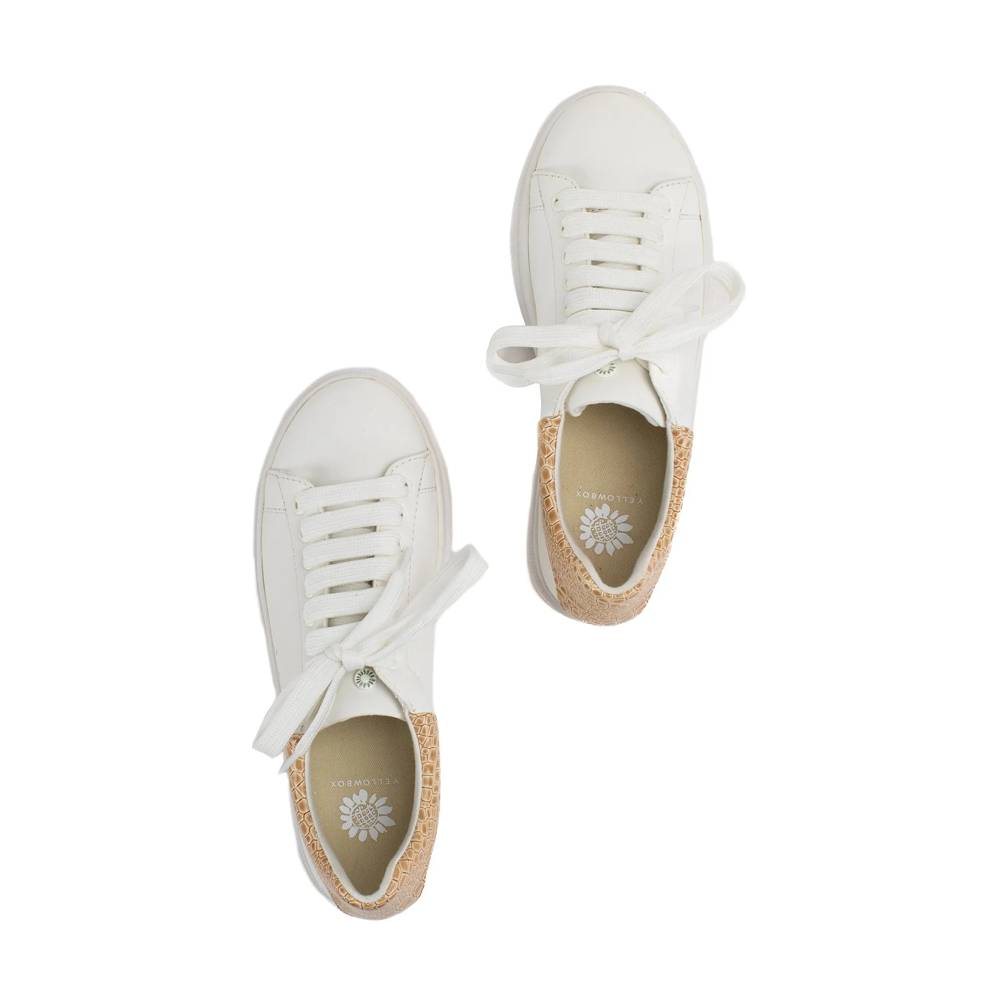 Evodia Lace Up Sneaker