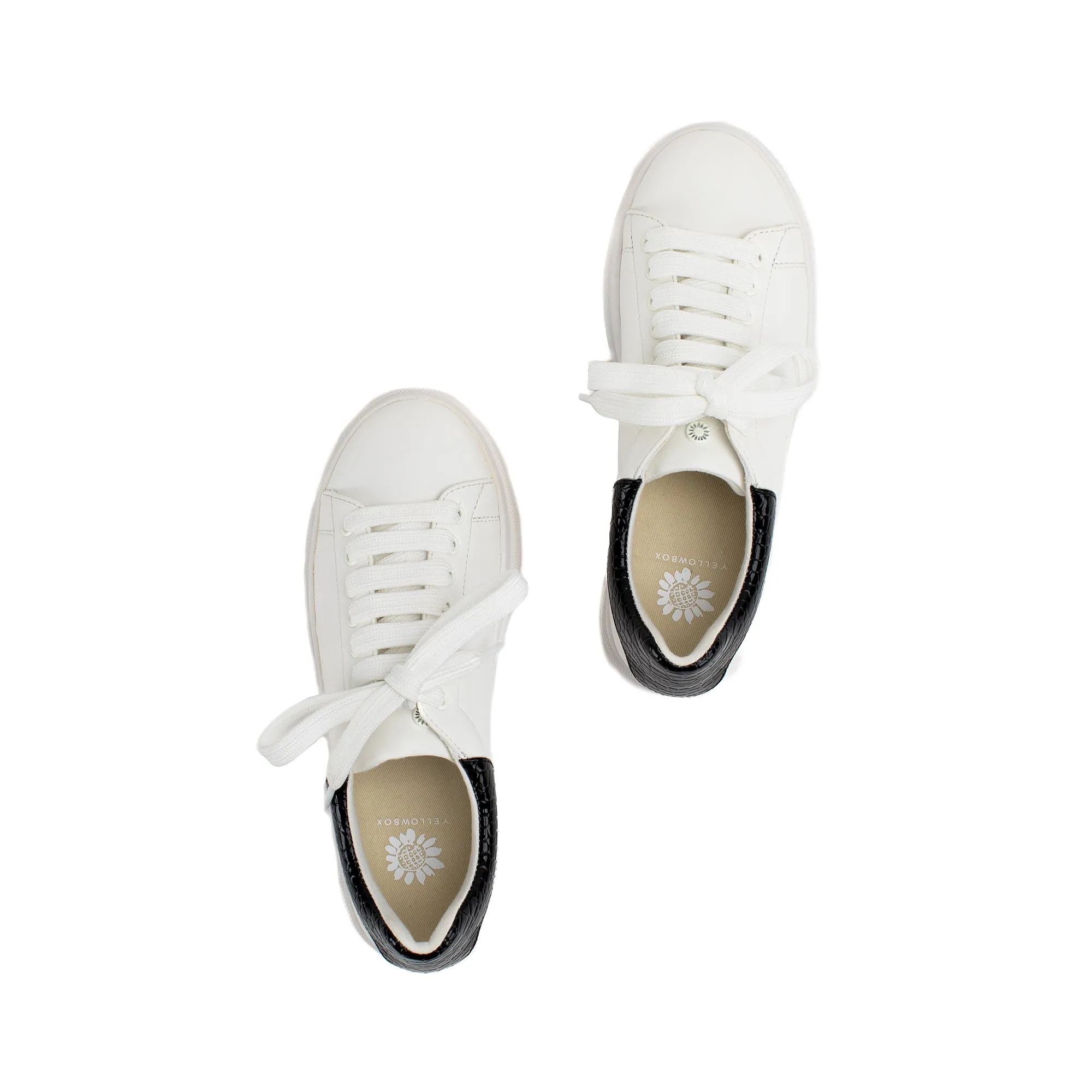 Evodia Lace Up Sneaker