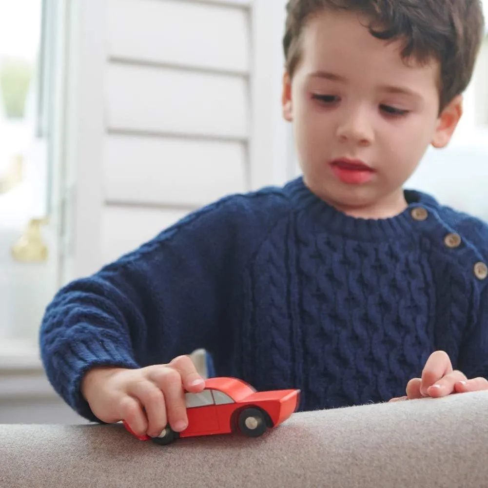 Tender Leaf Retro Cars Wooden Toys Set